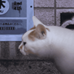 美高梅平台官网之怪奇谭官方正版下载-美高梅平台官网之怪奇谭手机版下载 v1.0 安卓正版